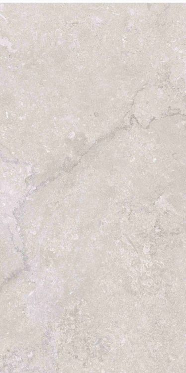 OL Port Land Stone Greige Matte 12 x 24